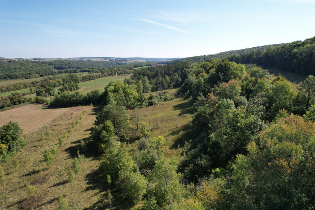 Vue aérienne du Marais du Cônois