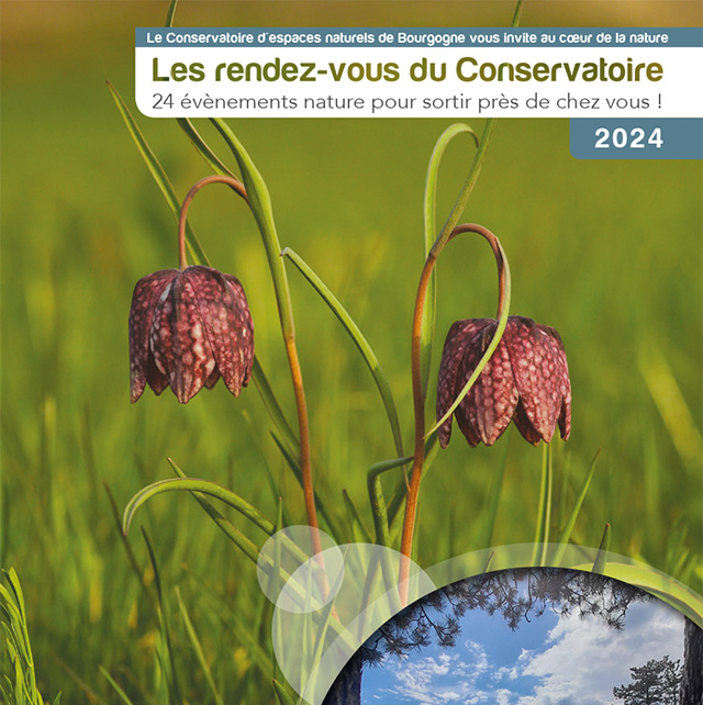 Couverture Agenda des animations nature du CEN Bourgogne 2024