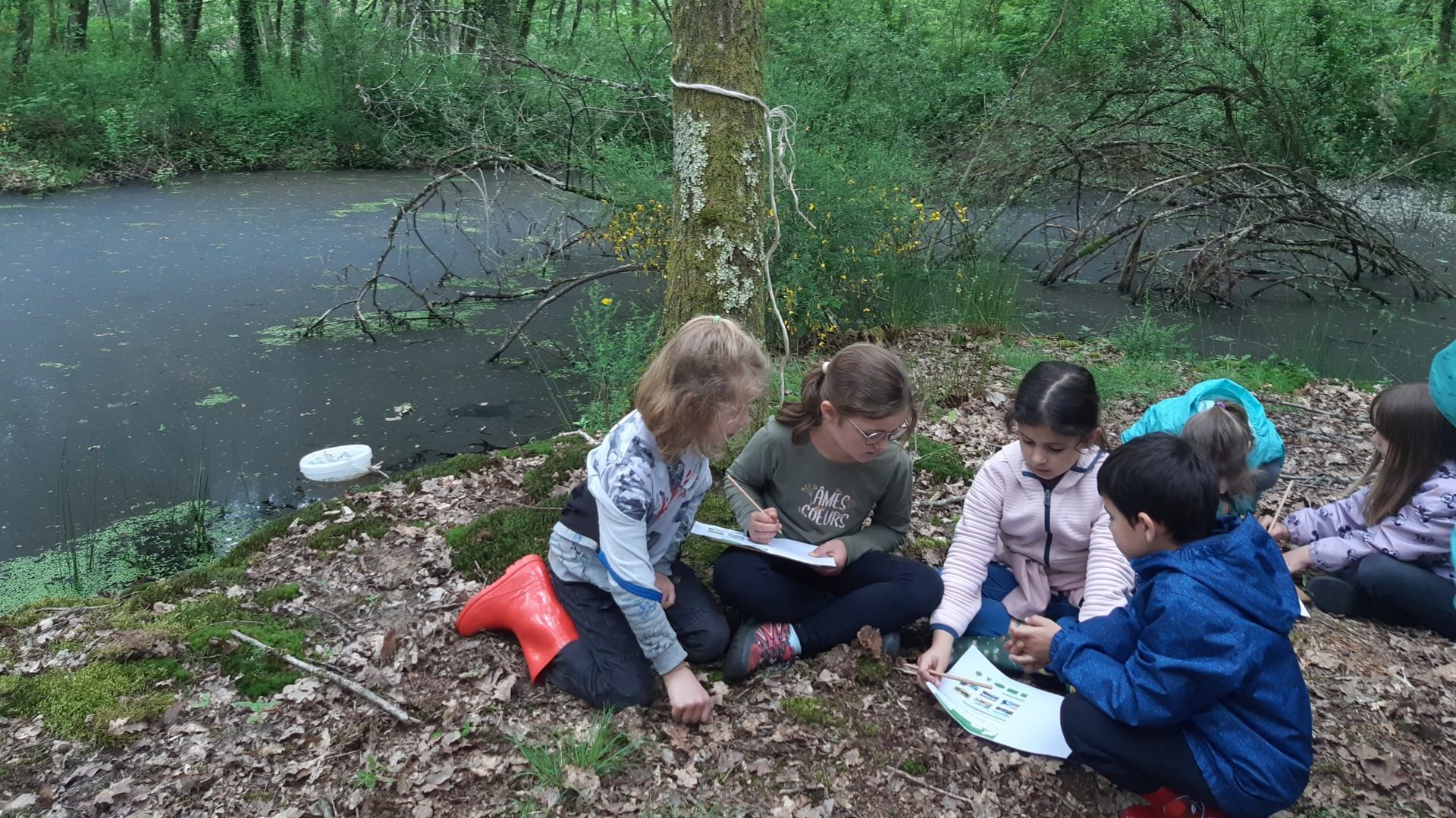 Animation scolaire sur la Réserve Naturelle Nationale de La Truchère Ratenelle