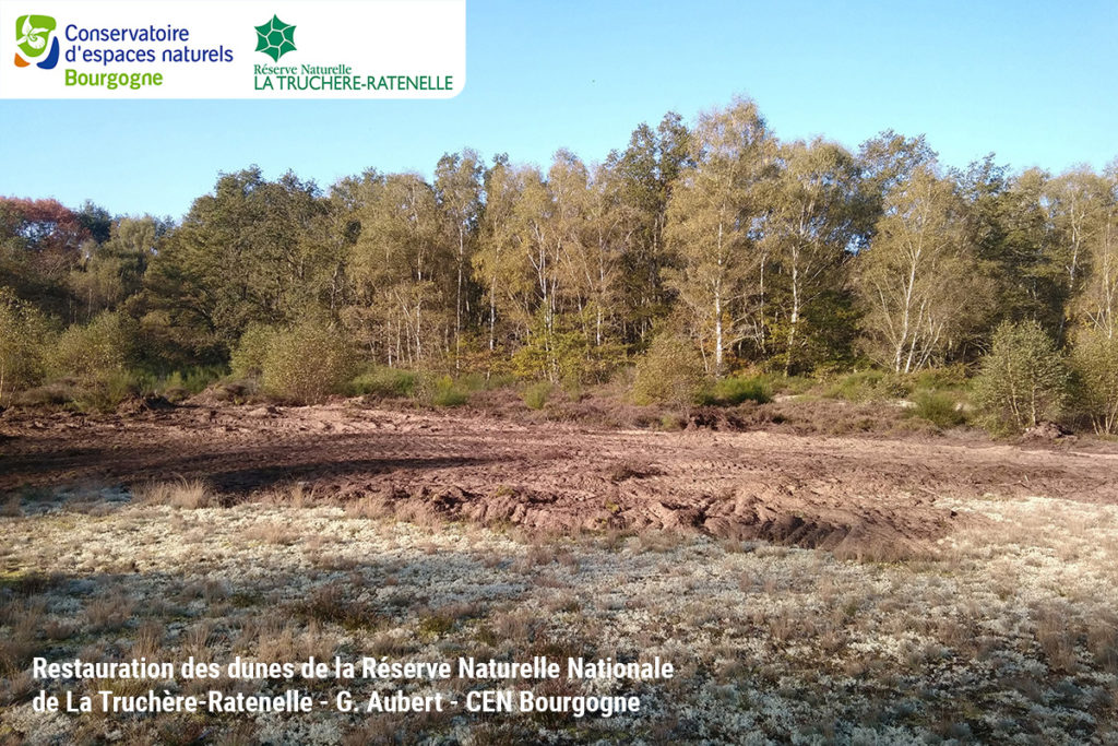 Restauration des dunes de la Réserve Naturelle Nationale de La Truchère-ratenelle - G. Aubert - CEN Bourgogne