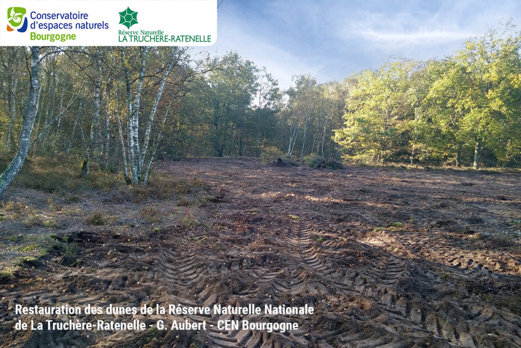 Restauration des dunes de la Réserve Naturelle Nationale de La Truchère-Ratenelle - G. Aubert - CEN Bourgogne