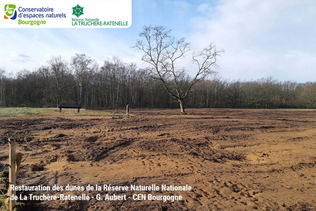 Restauration des dunes de la Réserve Naturelle Nationale de La Truchère-Ratenelle - G. Aubert - CEN Bourgogne