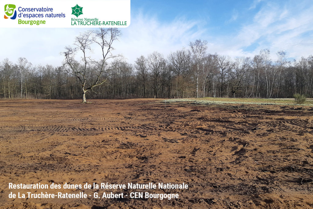 Restauration des dunes de la Réserve Naturelle Nationale de La Truchère-Ratenelle - G. Aubert - CEN Bourgogne