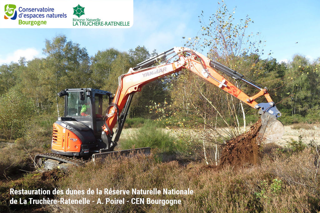 Restauration des dunes de la Réserve Naturelle Nationale de La Truchère-ratenelle - A. Poirel - CEN Bourgogne