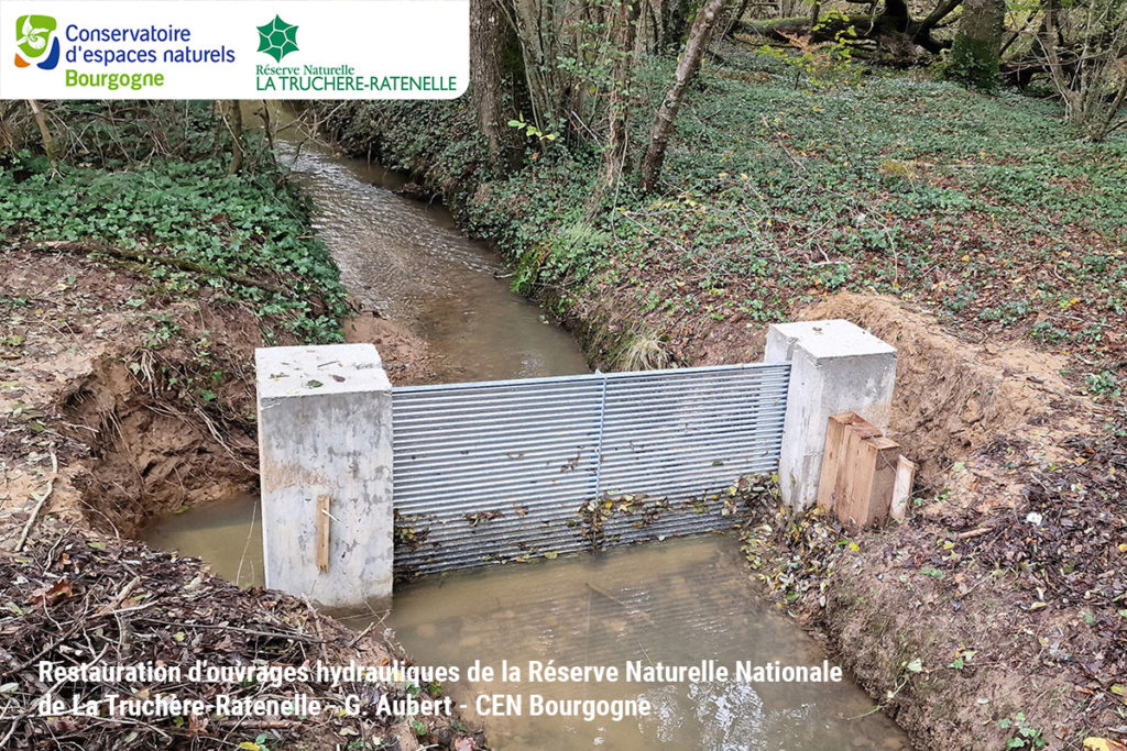 Réfection d'ouvrage hydraulique sur la Réserve Naturelle Nationale de La Truchère-Ratenelle