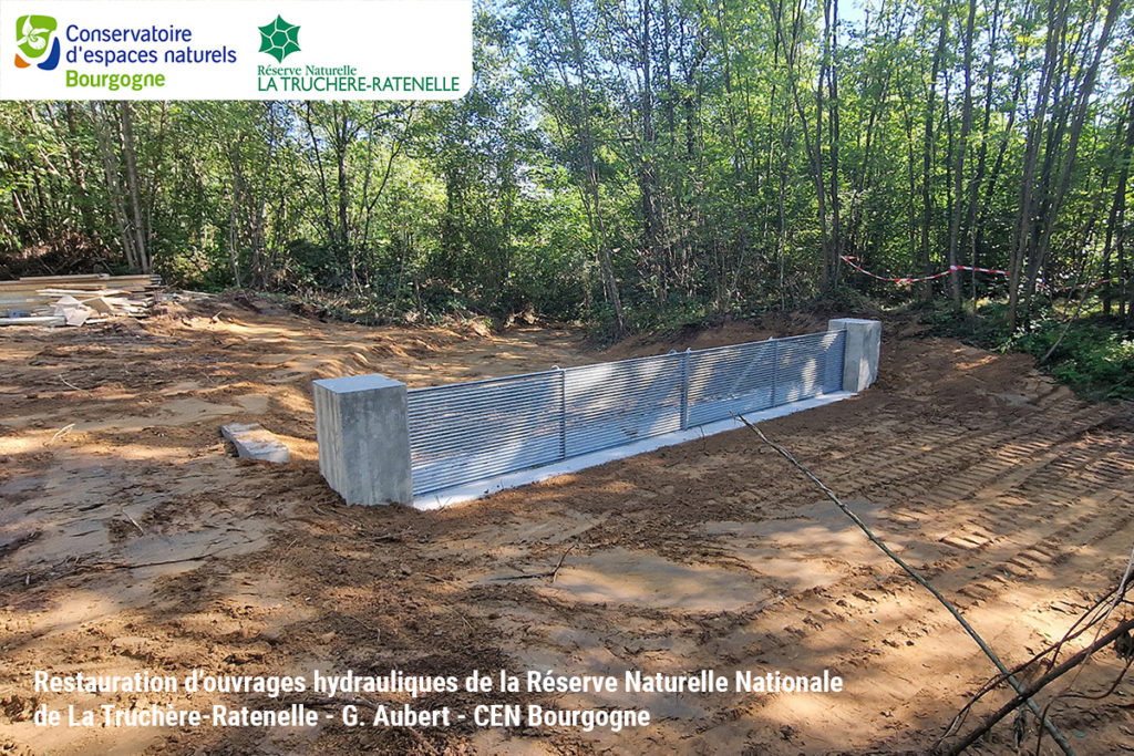 Réfection d'ouvrage hydraulique sur la Réserve Naturelle Nationale de La Truchère-Ratenelle