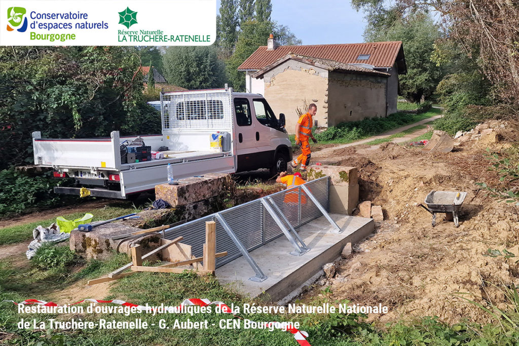 Réfection d'ouvrage hydraulique sur la Réserve Naturelle Nationale de La Truchère-Ratenelle